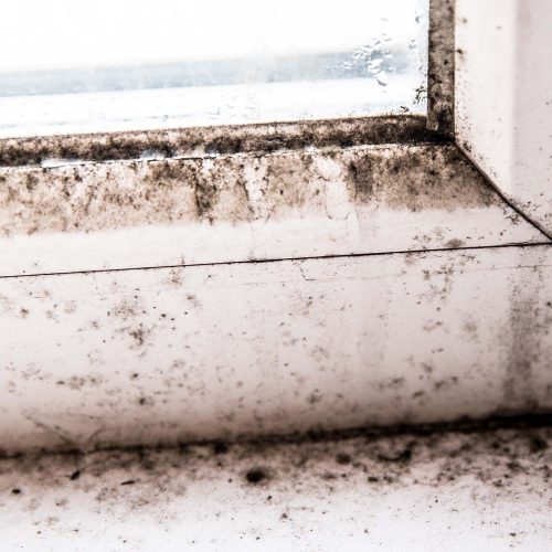 How to remove mould -blog