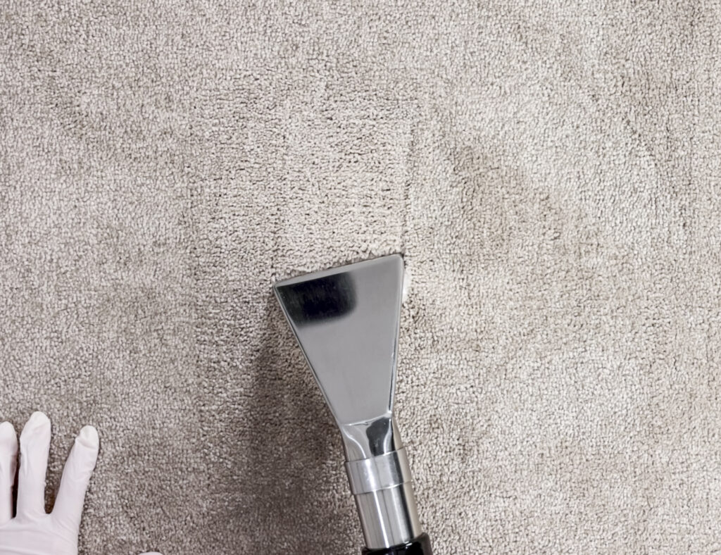 Extract the carpet after allowing chemical to dwell