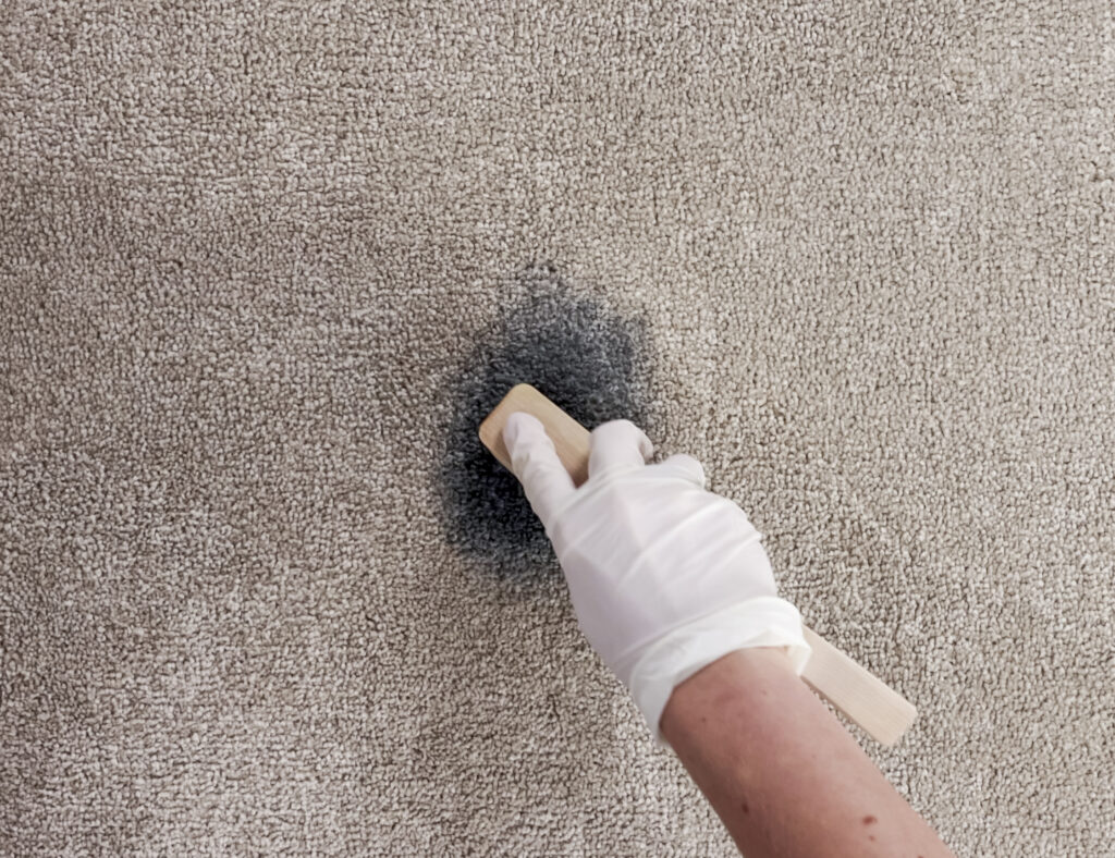 Agitate Protein Spotter into carpet