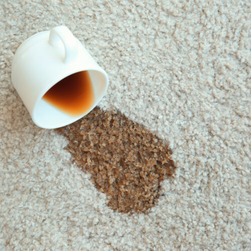 Cup of coffee spilled on white carpet