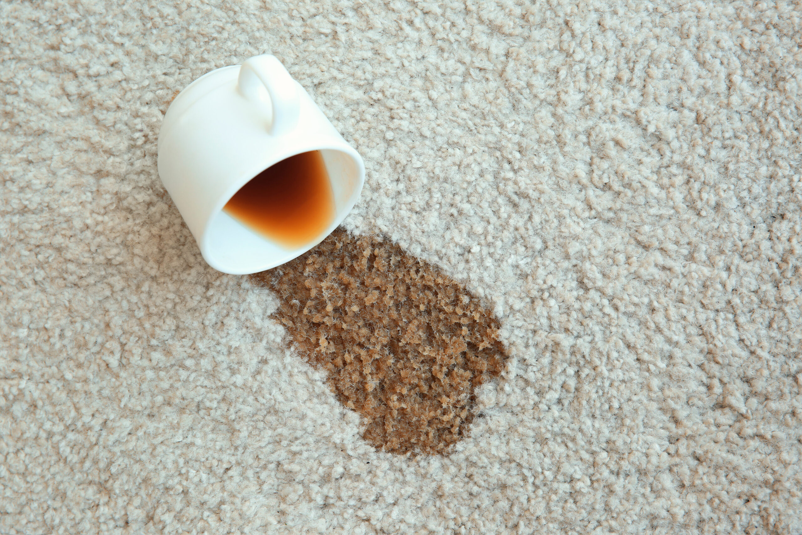 How to remove coffee from carpet Actichem
