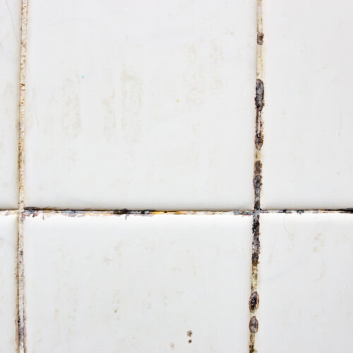 The tiles have mold stains in their grooves