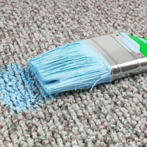 stained carpet with paint brush