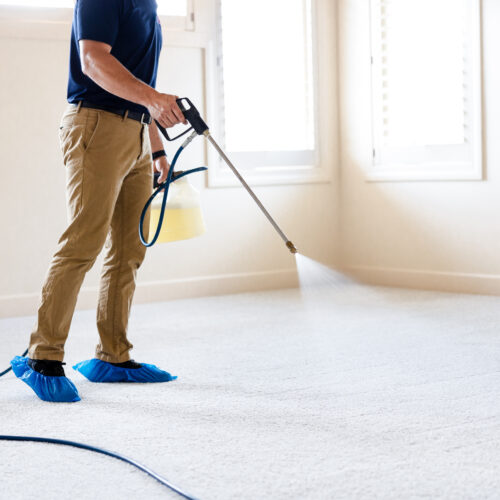 Person pre-spraying carpet before cleaning