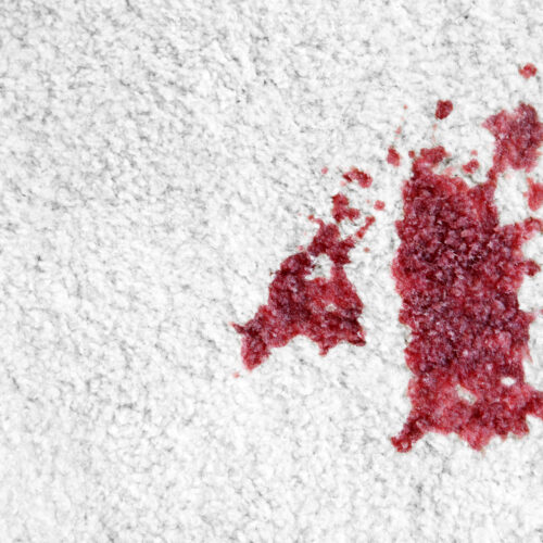 Spot of blood on white carpet