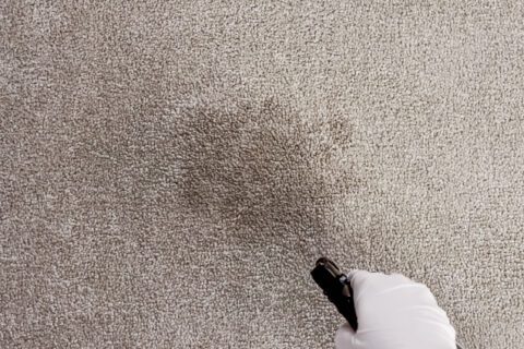 Spray CTR on to affected area