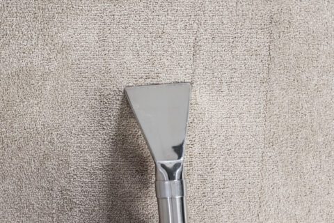 Extract with wet extraction machine