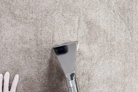 Extract the carpet after allowing chemical to dwell