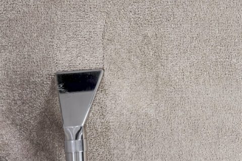 Extraction - Tea Stain