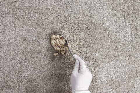 Scrape off all of the excess vomit