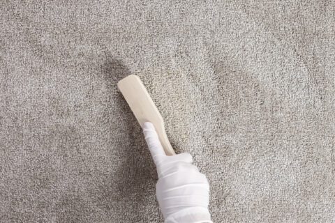 Tamping Protein Spotter in vomit stain