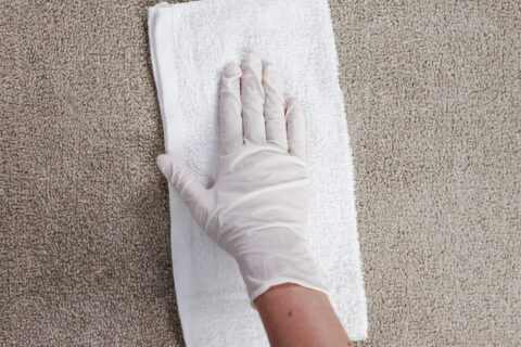 Dab the protein Spotter onto the oil stain